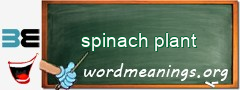 WordMeaning blackboard for spinach plant